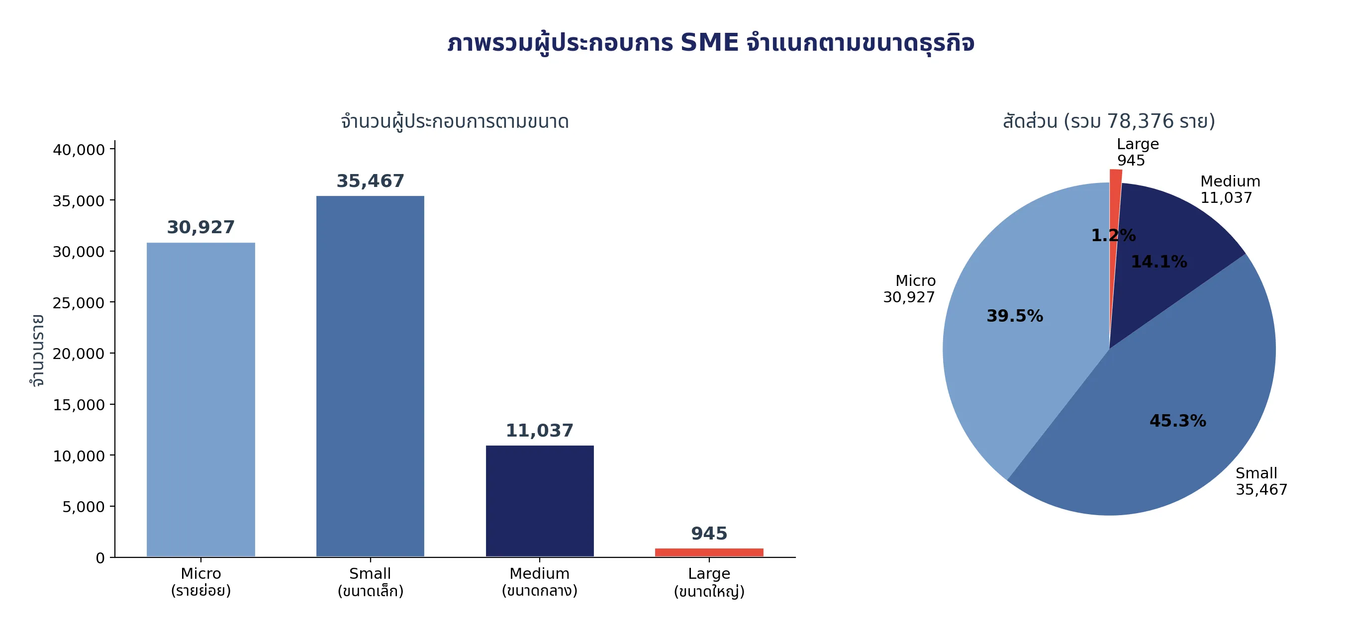 SME Overview by Size